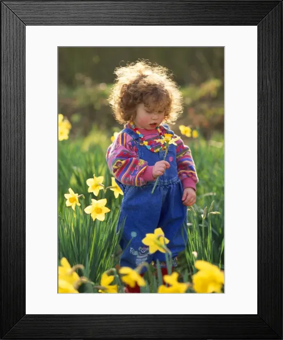 Framed Print : Picture No. 10851581 Framed Print : Picture No. 10851581