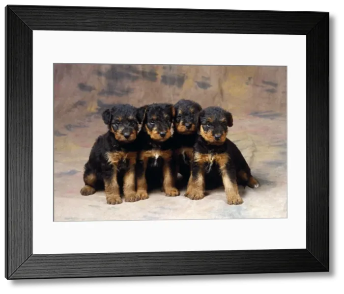 Framed Print : Picture No. 10851719 Framed Print : Picture No. 10851719