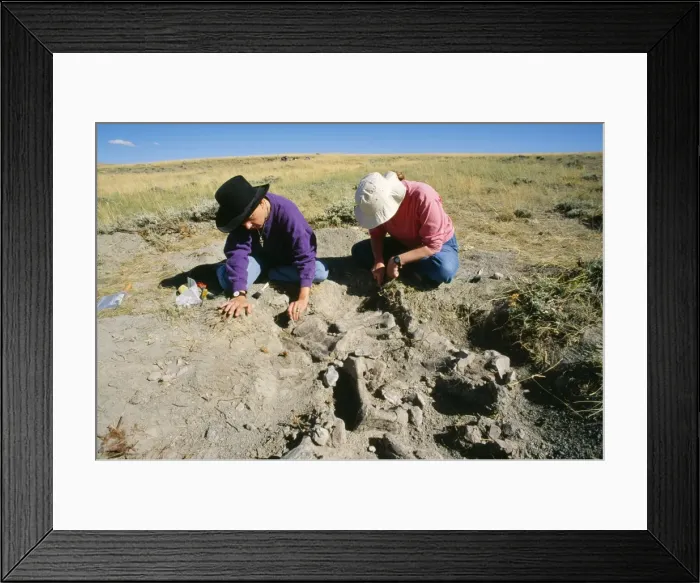 Framed Print : Picture No. 10850680 Framed Print : Picture No. 10850680