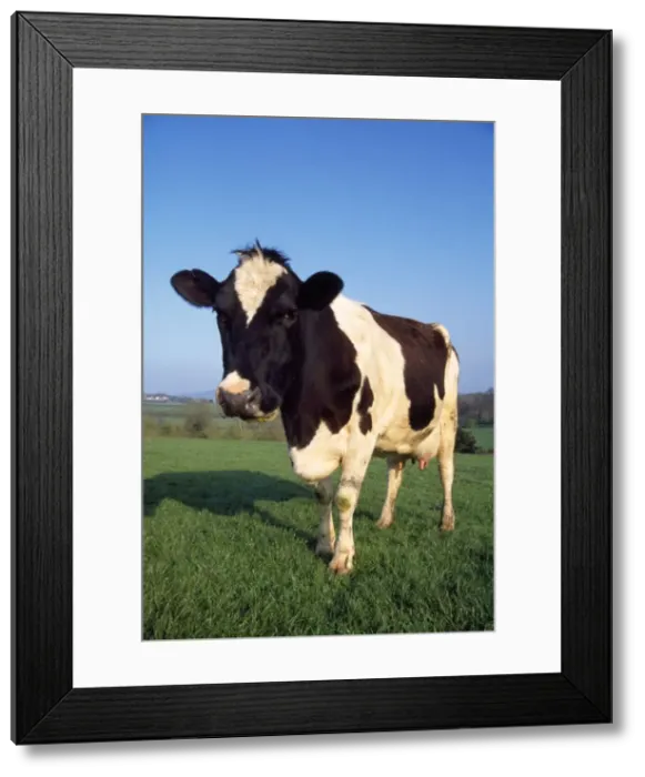 Framed Print : Picture No. 10851728 Framed Print : Picture No. 10851728