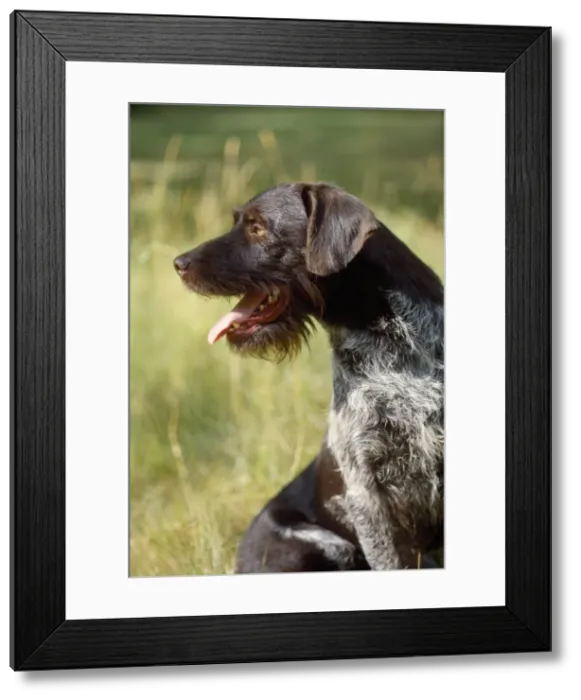 Framed Print : Picture No. 10851735 Framed Print : Picture No. 10851735