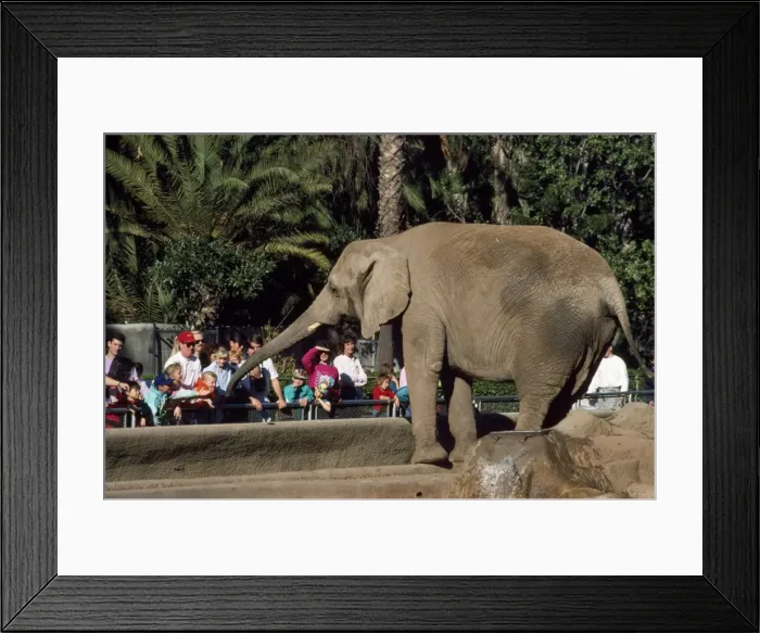 Framed Print : Picture No. 10850766 Framed Print : Picture No. 10850766