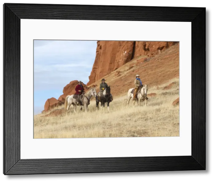 Framed Print : Picture No. 10898558 Framed Print : Picture No. 10898558
