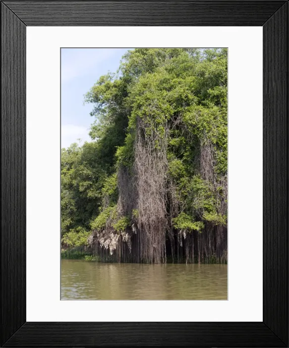 Framed Print : Picture No. 10899161 Framed Print : Picture No. 10899161