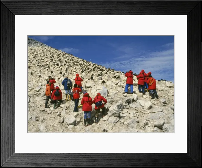 Framed Print : Picture No. 10854964 Framed Print : Picture No. 10854964