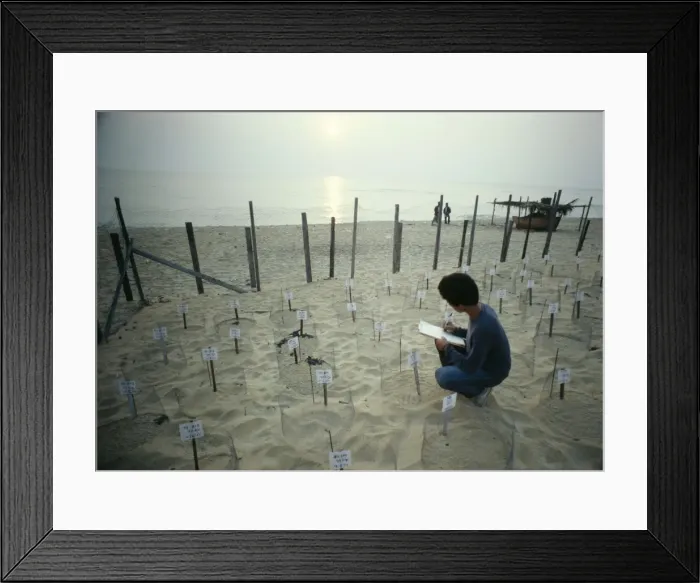 Framed Print : Picture No. 10853818 Framed Print : Picture No. 10853818