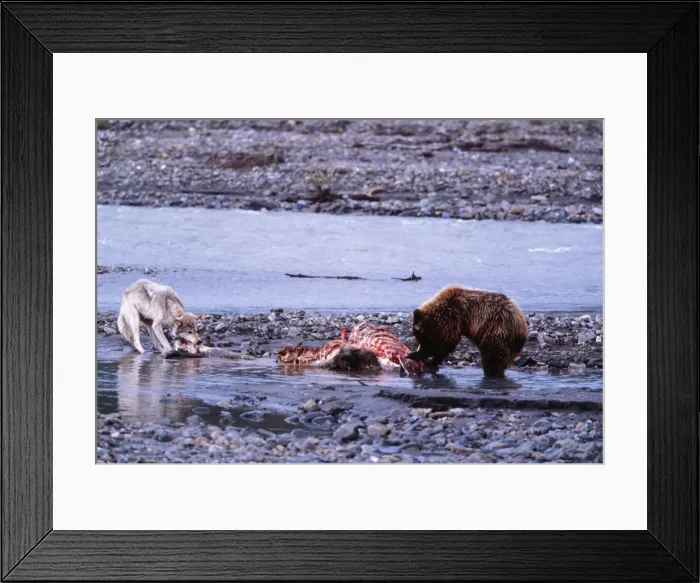 Framed Print : Picture No. 10853784 Framed Print : Picture No. 10853784