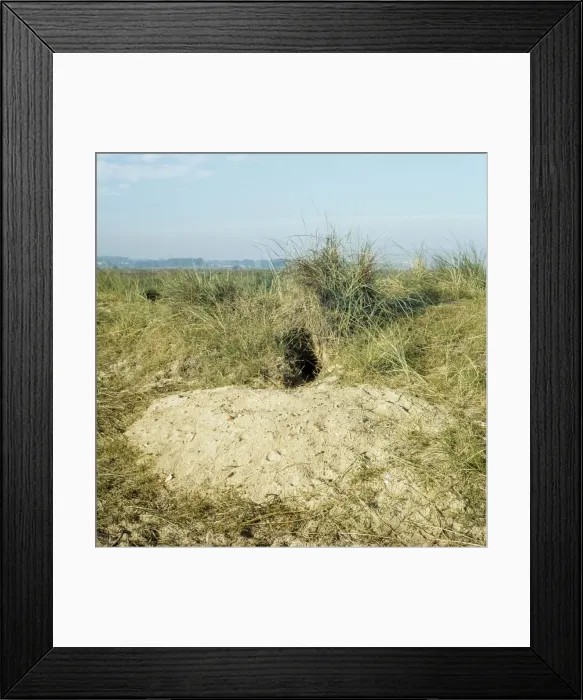 Framed Print : Picture No. 10853639 Framed Print : Picture No. 10853639