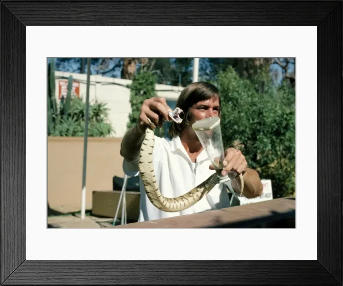 Framed Print : Picture No. 10853651 Framed Print : Picture No. 10853651