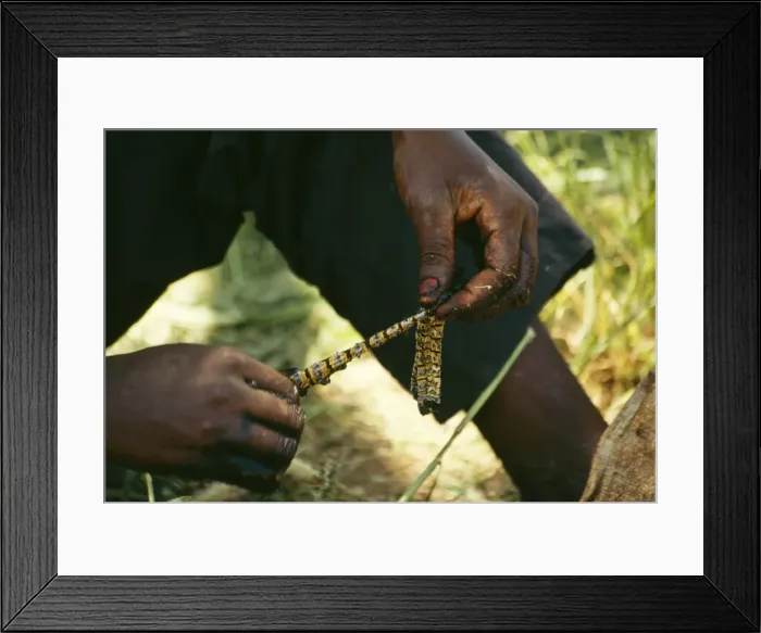 Framed Print : Picture No. 10855015 Framed Print : Picture No. 10855015