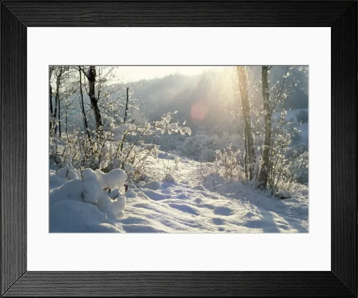 Framed Print : Picture No. 10853676 Framed Print : Picture No. 10853676