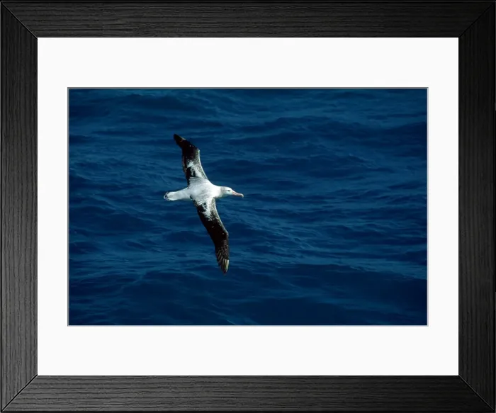 Framed Print : Picture No. 10852256 Framed Print : Picture No. 10852256