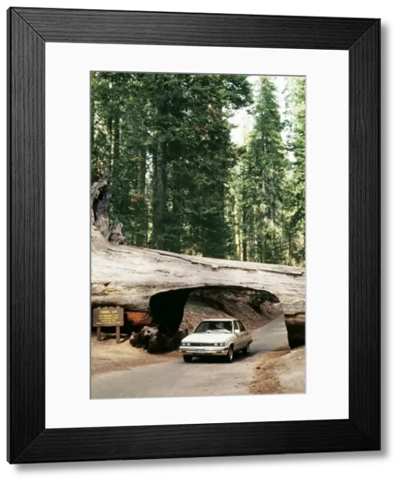 Framed Print : Picture No. 10853708 Framed Print : Picture No. 10853708