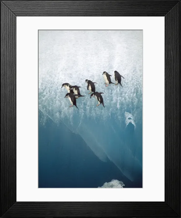 Framed Print : Picture No. 10852259 Framed Print : Picture No. 10852259
