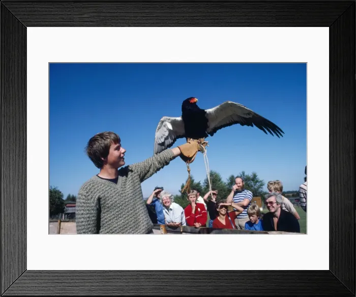 Framed Print : Picture No. 10852225 Framed Print : Picture No. 10852225