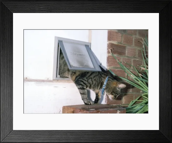 Framed Print : Picture No. 10853707 Framed Print : Picture No. 10853707