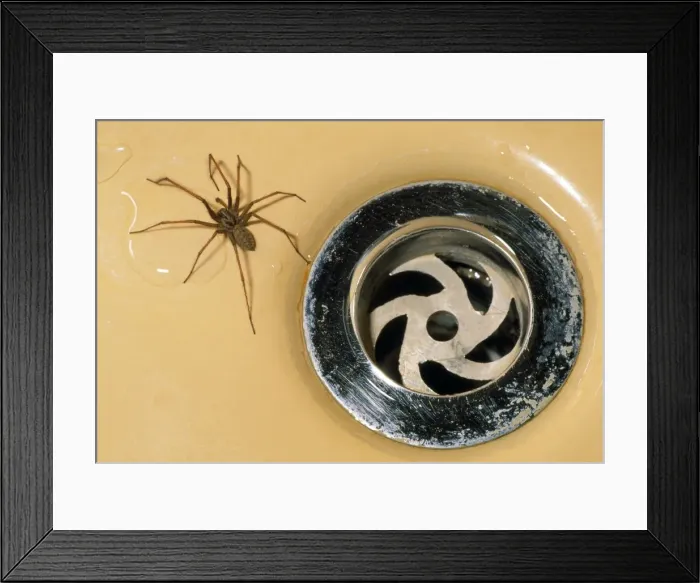 Framed Print : Picture No. 10855566 Framed Print : Picture No. 10855566