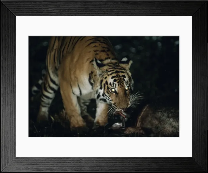 Framed Print : Picture No. 10853873 Framed Print : Picture No. 10853873