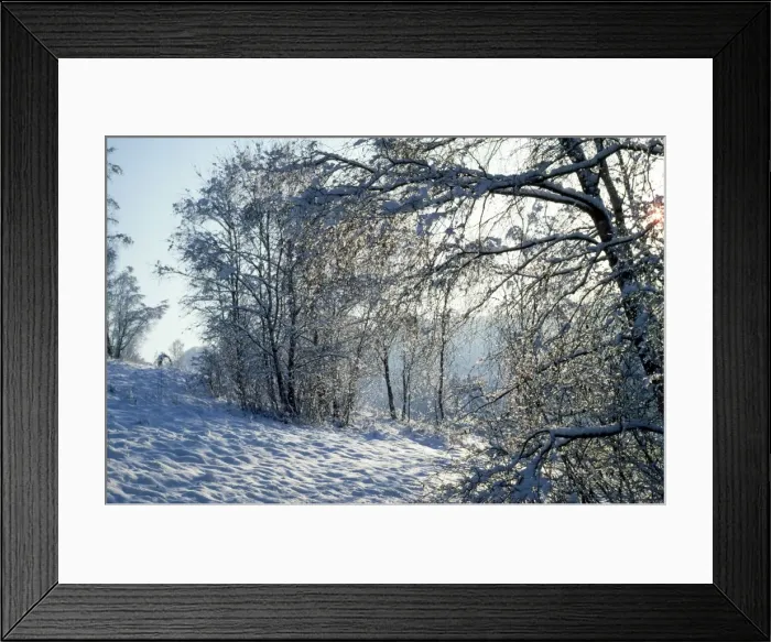 Framed Print : Picture No. 10853677 Framed Print : Picture No. 10853677