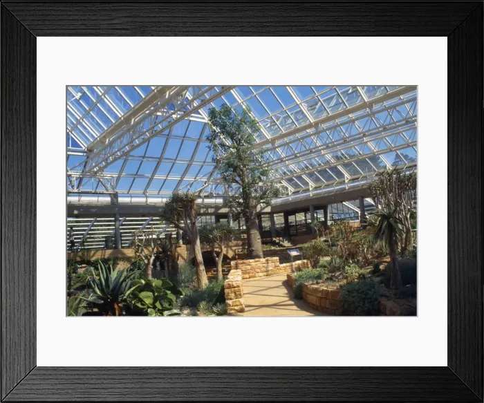 Framed Print : Picture No. 10855056 Framed Print : Picture No. 10855056