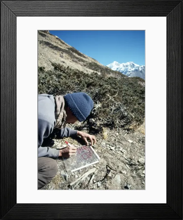 Framed Print : Picture No. 10853831