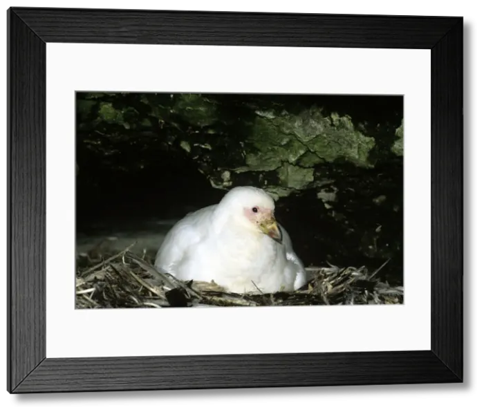 Framed Print : Picture No. 10852258 Framed Print : Picture No. 10852258