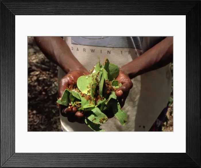 Framed Print : Picture No. 10862692 Framed Print : Picture No. 10862692