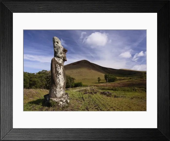 Framed Print : Picture No. 10861935