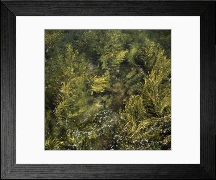 Framed Print : Picture No. 10863018 Framed Print : Picture No. 10863018