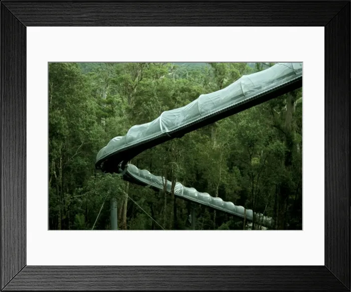 Framed Print : Picture No. 10862999 Framed Print : Picture No. 10862999