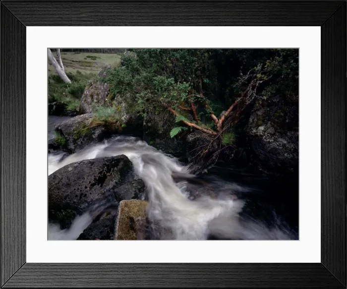 Framed Print : Picture No. 10863040 Framed Print : Picture No. 10863040