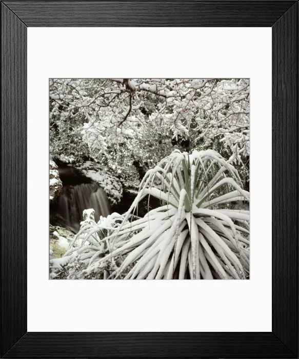 Framed Print : Picture No. 10862965 Framed Print : Picture No. 10862965