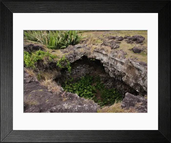 Framed Print : Picture No. 10861937