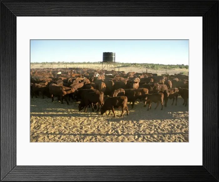 Framed Print : Picture No. 10862662 Framed Print : Picture No. 10862662