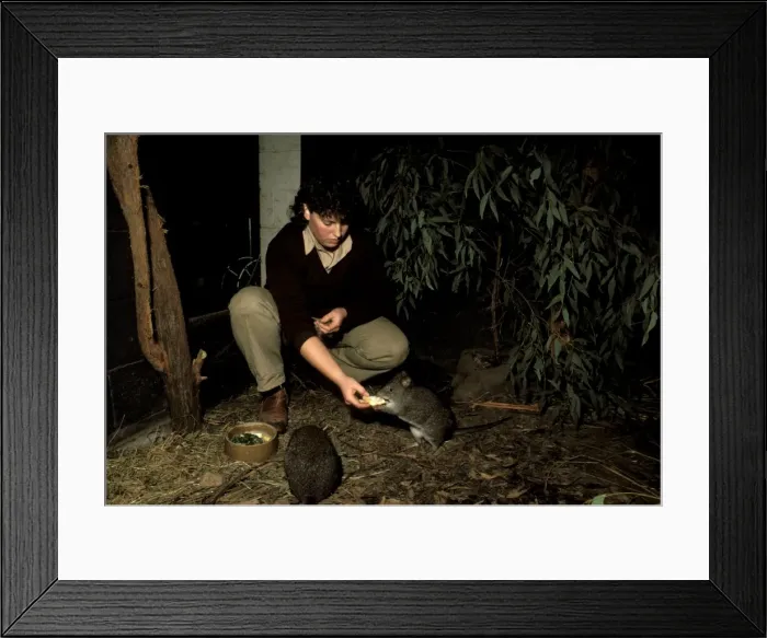 Framed Print : Picture No. 10863023 Framed Print : Picture No. 10863023