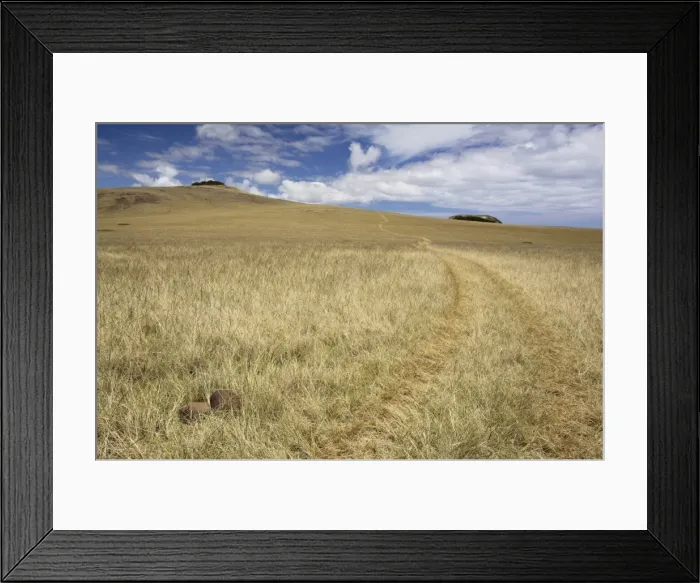 Framed Print : Picture No. 10861957 Framed Print : Picture No. 10861957