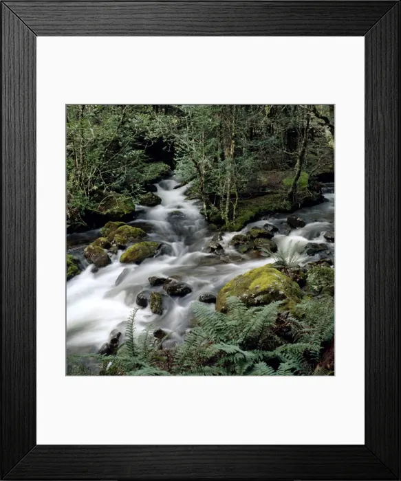 Framed Print : Picture No. 10862979 Framed Print : Picture No. 10862979