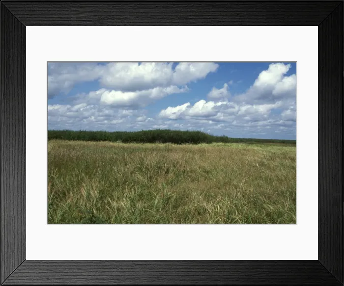Framed Print : Picture No. 10862685 Framed Print : Picture No. 10862685