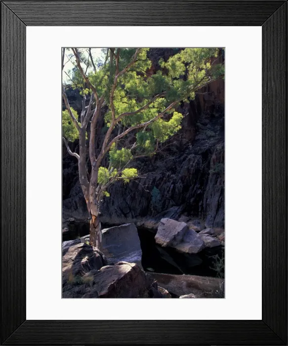Framed Print : Picture No. 10862663