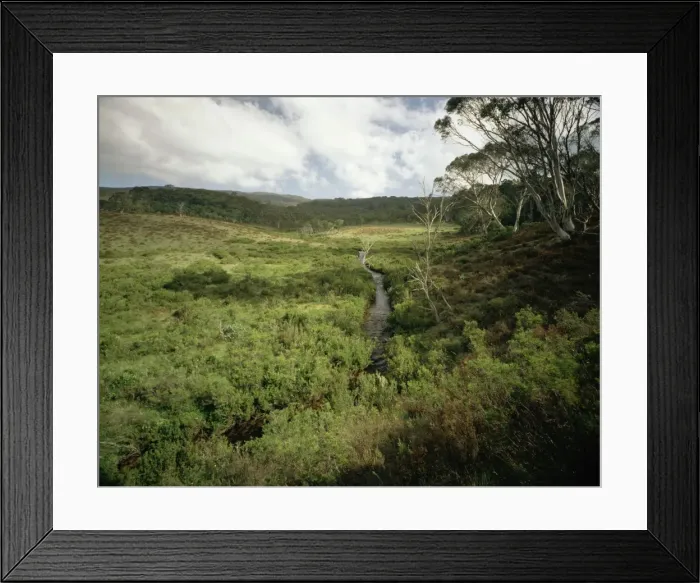 Framed Print : Picture No. 10863041 Framed Print : Picture No. 10863041