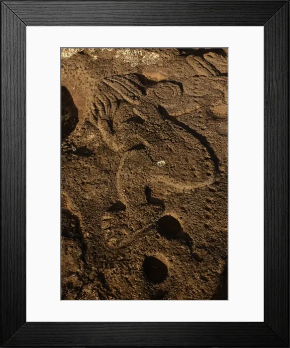 Framed Print : Picture No. 10861959 Framed Print : Picture No. 10861959