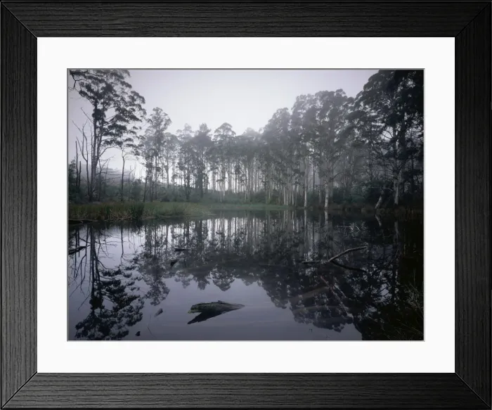 Framed Print : Picture No. 10863037