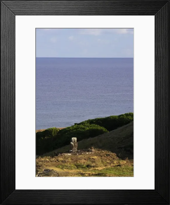 Framed Print : Picture No. 10861944 Framed Print : Picture No. 10861944