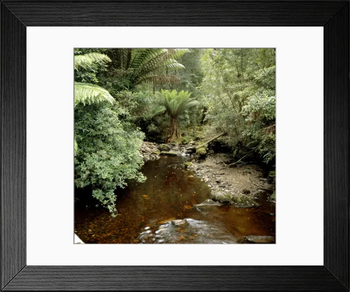 Framed Print : Picture No. 10862987 Framed Print : Picture No. 10862987