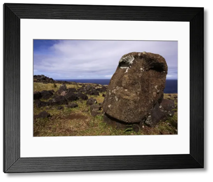 Framed Print : Picture No. 10861915