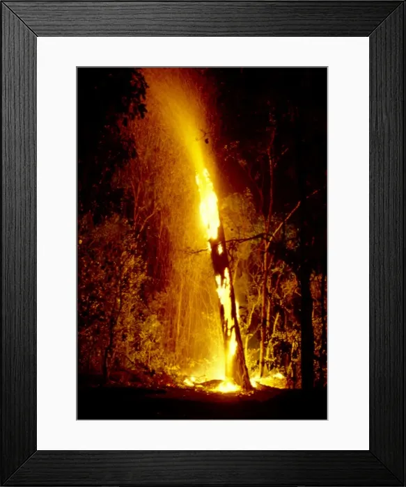 Framed Print : Picture No. 10862672 Framed Print : Picture No. 10862672