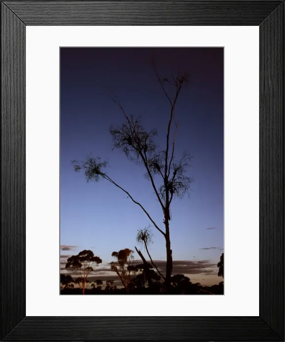 Framed Print : Picture No. 10862866 Framed Print : Picture No. 10862866