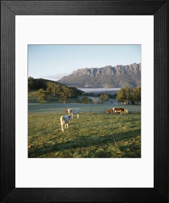 Framed Print : Picture No. 10862992 Framed Print : Picture No. 10862992
