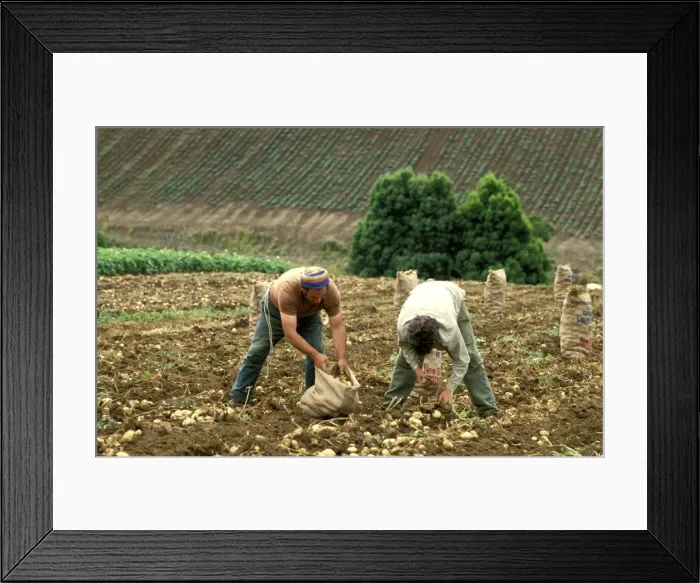 Framed Print : Picture No. 10863029 Framed Print : Picture No. 10863029