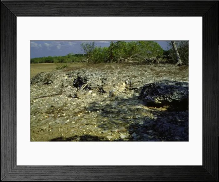 Framed Print : Picture No. 10862687 Framed Print : Picture No. 10862687
